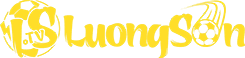 mitom.tv